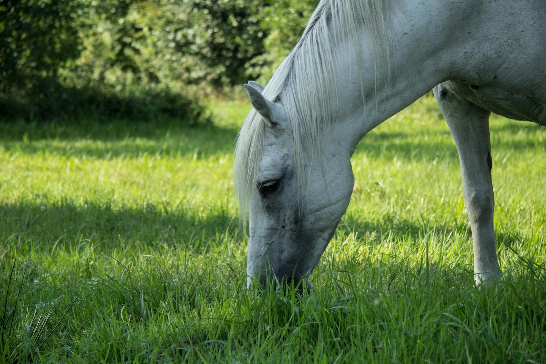 Wykres jakości powietrza w Sieradzu z zaznaczonymi normami i przekroczeniami stężenia pyłu PM10.