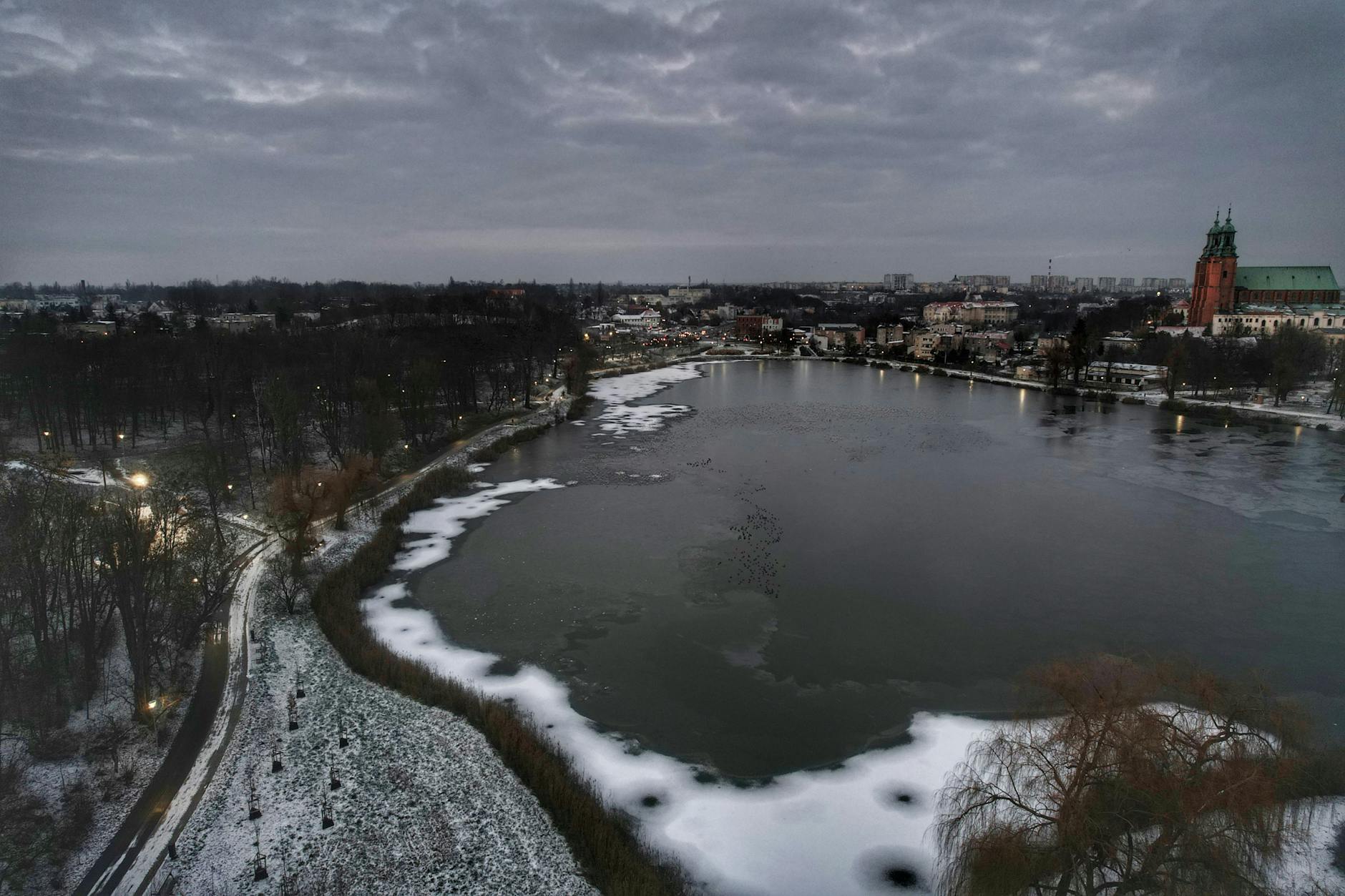 Ręce trzymające sadzonki roślin w ziemi na tle zielonego ogrodu w Sieradzu